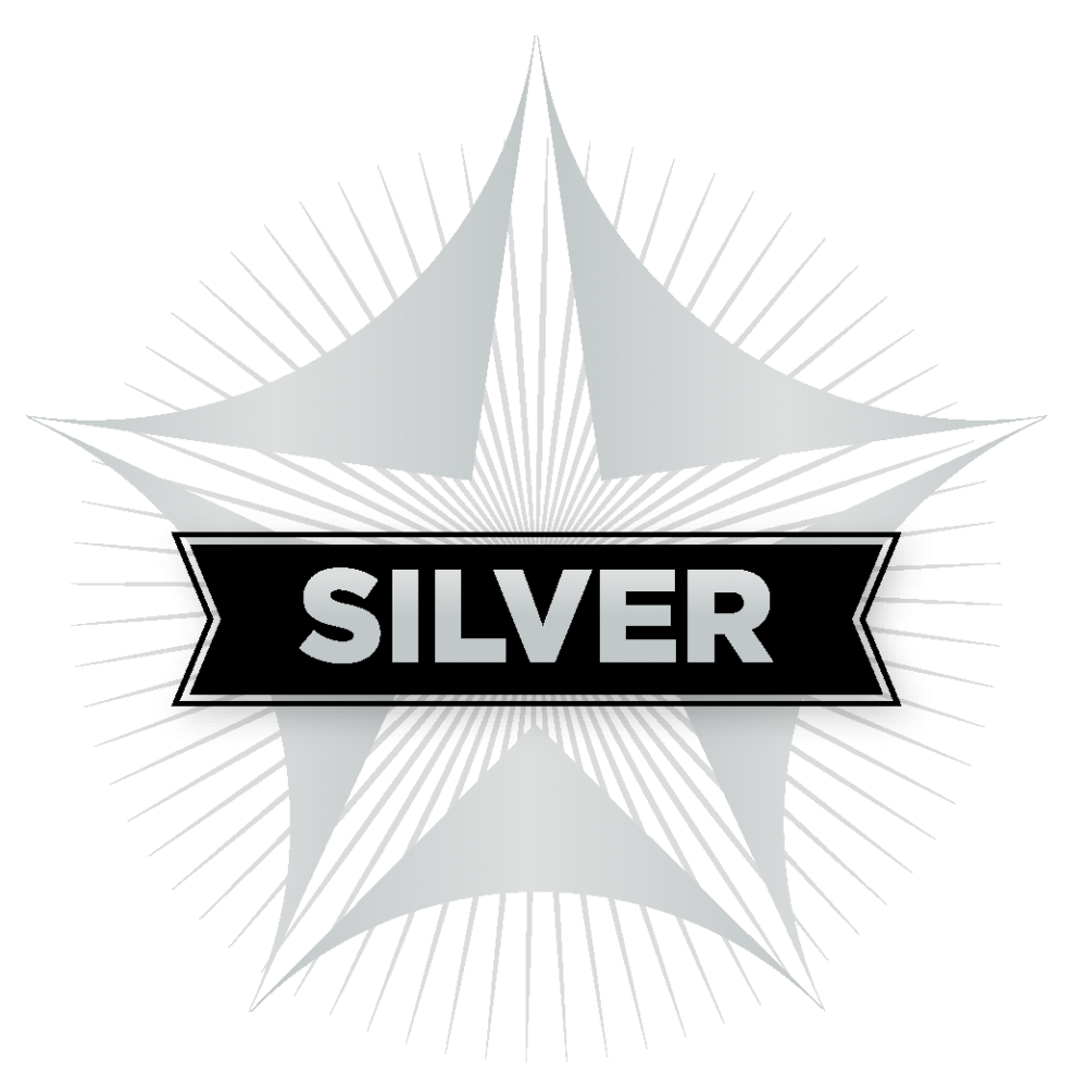 Graphic featuring the colour and design of the Silver SRAG Charter Mark, which is silver grey, five pointed, star like shape with the title SILVER in capital letters in the centre.