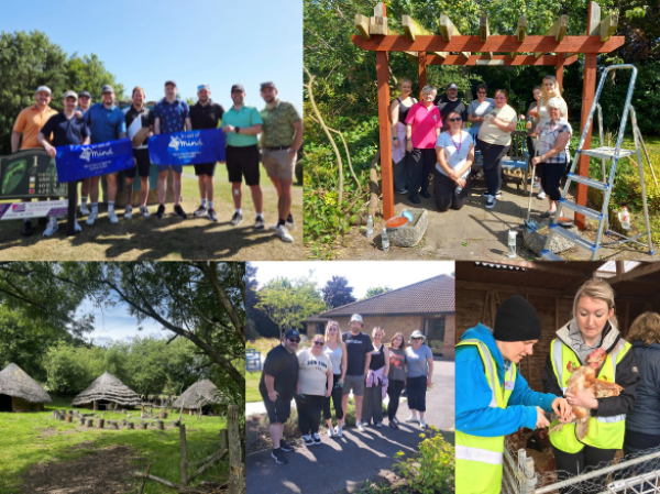 Photographs of our colleagues volunteering