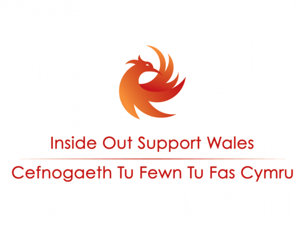 Image for SRAG Partner Spotlight - Inside Out Wales
